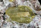 Apatite Crystal In Matrix - Durango, Mexico #43383-2